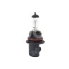 FOCO HALOGENO 9004 12V 80/100W P29tPaquete:1.00