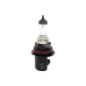 FOCO HALOGENO 9007 12V 100/80W PX29t 9107 FLOSSERPaquete:1.00
